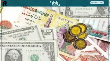 استقرار أسعار العملات الأجنبية والعربية في أسوان السبت 25 أكتوبر 2025
